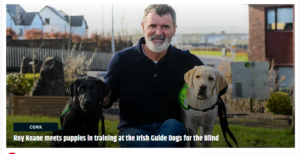 Photo of Roy Keane kneeling next to a labrador guide dog